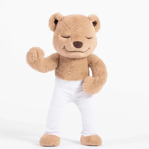Meddy Teddy