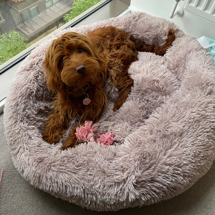 Weiches Donutbett für Hunde und Katzen