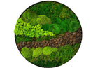 Moos-Bild Pinecone Stream Durchmesser 60cm
