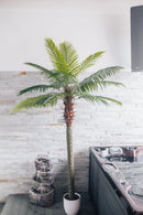 Palmera datilera artificial Phoenix canariensis 200 cm
