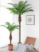 Palmera datilera artificial Phoenix canariensis 200 cm