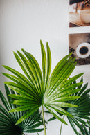 Planta artificial Palmito Chamaerops Humilis 140 cm