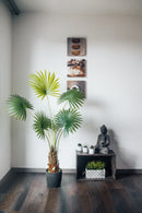 Planta artificial Palmito Chamaerops Trachycarpus 140 cm