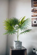 Planta artificial Palmito Chamaerops Humilis 80 cm