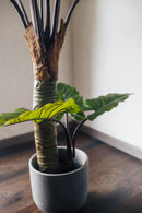 Planta artificial Alocasia 160 cm