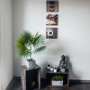 Artificial plant fan palm Chamaerops Humilis 80 cm