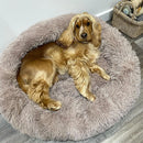 Soft donut bed for dogs and cats