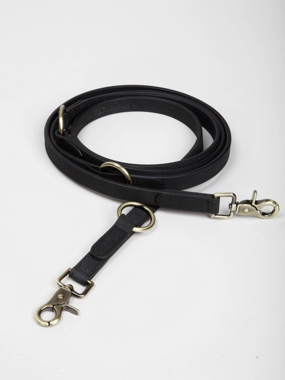 Nordog dog leash