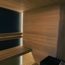 Sauna Clarity Black Indoor- & Outdoor