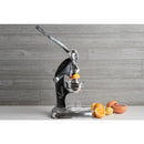 Mexican citrus juicer large