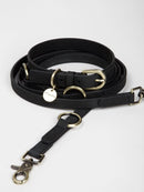 Nordog dog leash