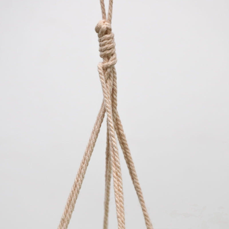 Horizon hanging plant with pot