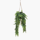 Horizon hanging plant with pot
