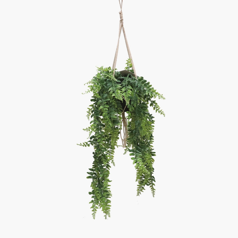 Horizon hanging plant with pot