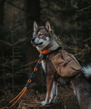 Dog bag Ranger