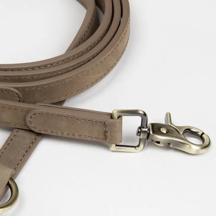 Nordog dog leash