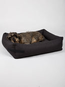 Dog bed