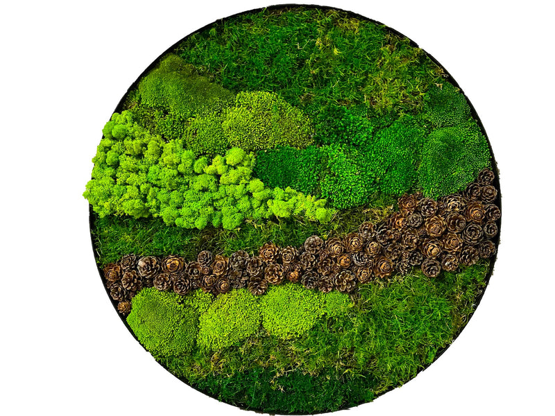 Moss picture Pinecone Stream diameter 60cm