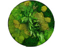 Moss picture diameter 60cm