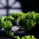 AquaLuxe indoor fountain with LED ring and fog effect