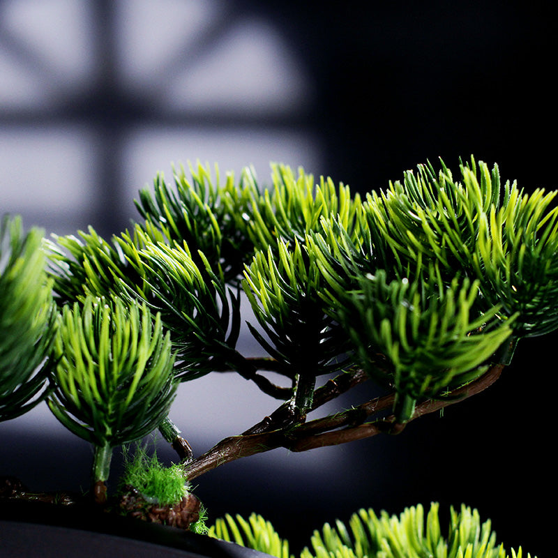 AquaLuxe indoor fountain with LED ring and fog effect