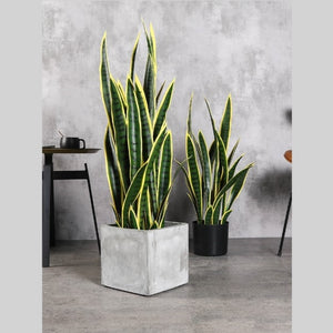 Planta artificial cáñamo Sansevieria laurenti 100 cm