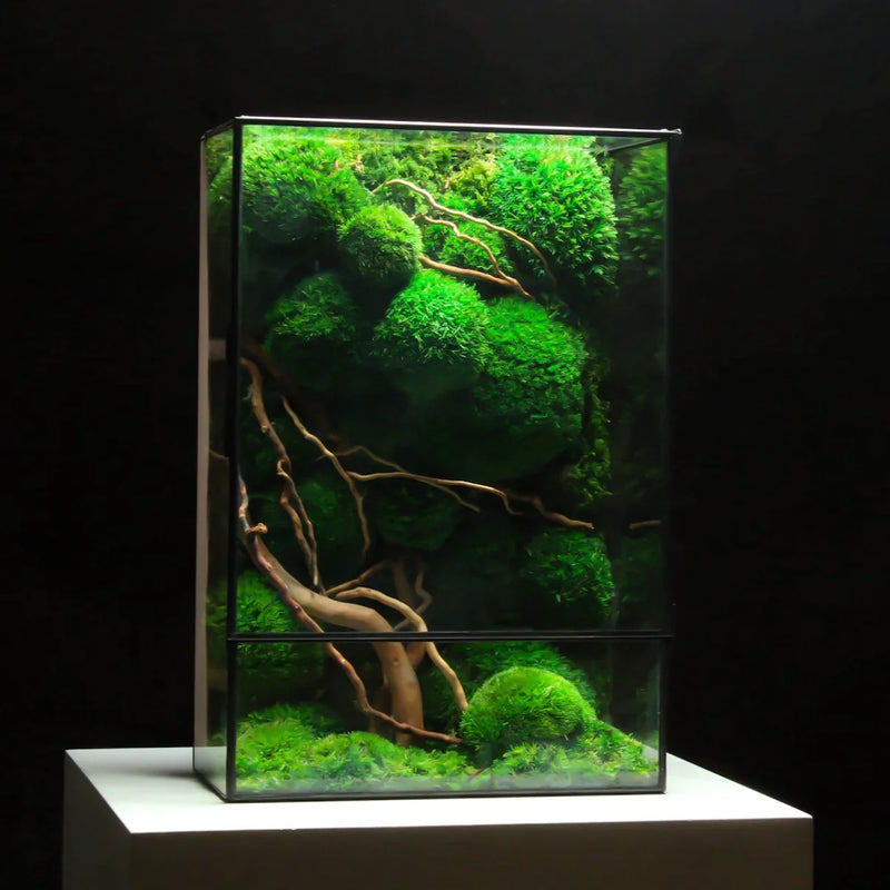 Nature Cubicle real moss