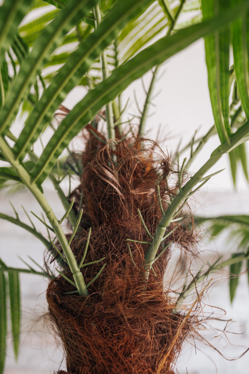 Palmera datilera artificial Phoenix canariensis 200 cm