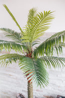 Artificial plant date palm Phoenix canariensis 250 cm