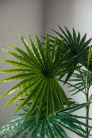 Artificial plant fan palm Chamaerops Humilis 80 cm