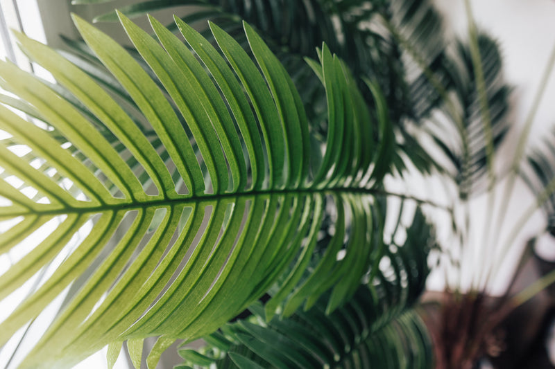 Planta artificial palmera fénix 175 cm