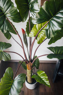 Artificial plant Alocasia 160 cm