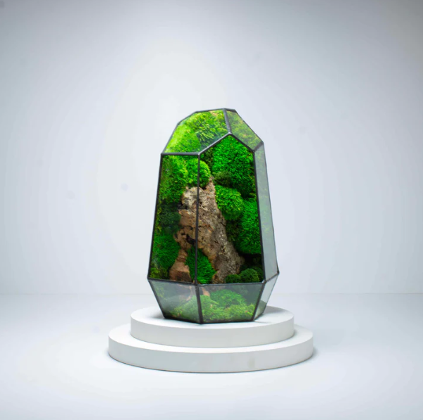 Real moss cube prism