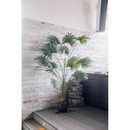 Artificial plant fan palm Chamaerops Humilis 200 cm