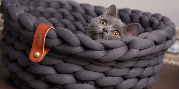 Lit pour chat tressé