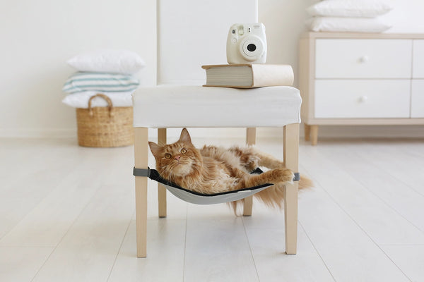 Hamac pour animaux domestiques et rangement vert