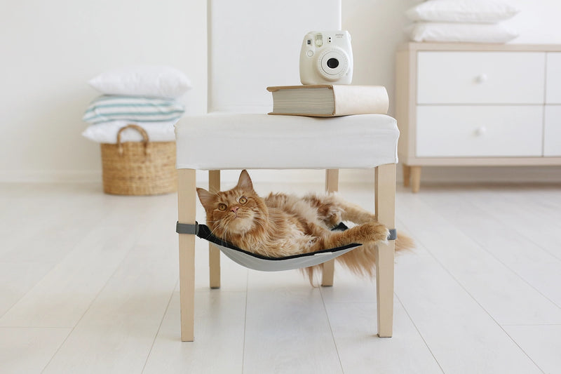 Hamac pour animaux domestiques et rangement vert