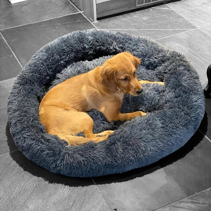 Lit de beignets doux pour chiens et chats