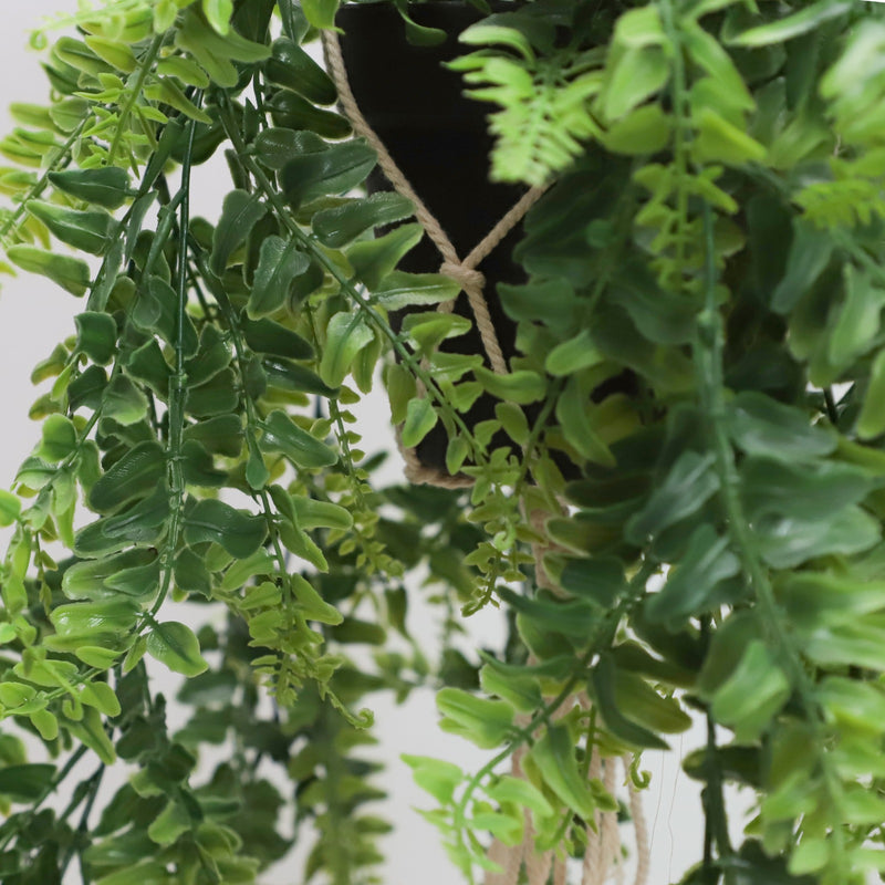 Horizon Plante suspendue avec pot