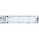 Swimspa Rubinium Pure 2025 7 Varianten