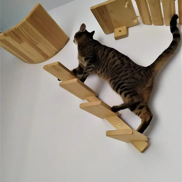 Echelle pour chats
