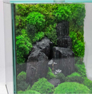 Cube Mossarium Mousse véritable