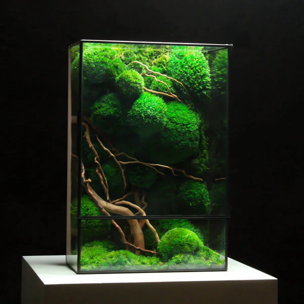 Nature Cubicle Mousse véritable