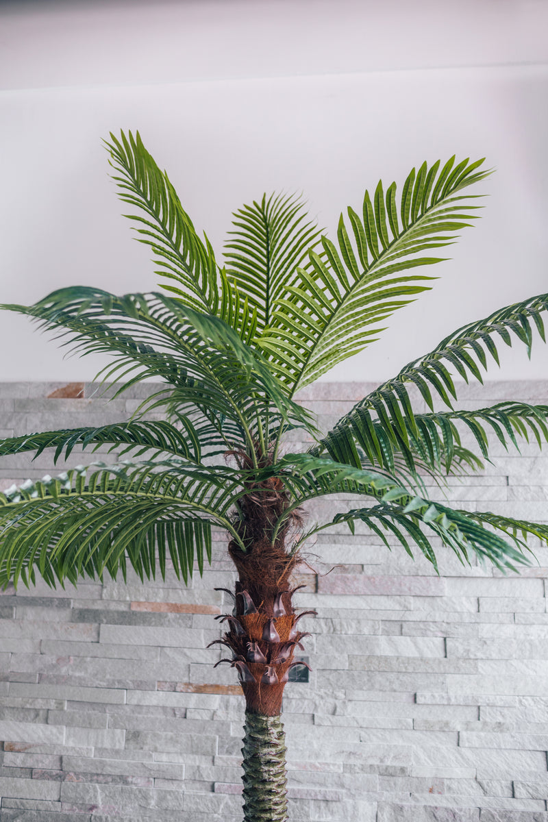 Palmera datilera artificiel Phoenix canariensis 250 cm