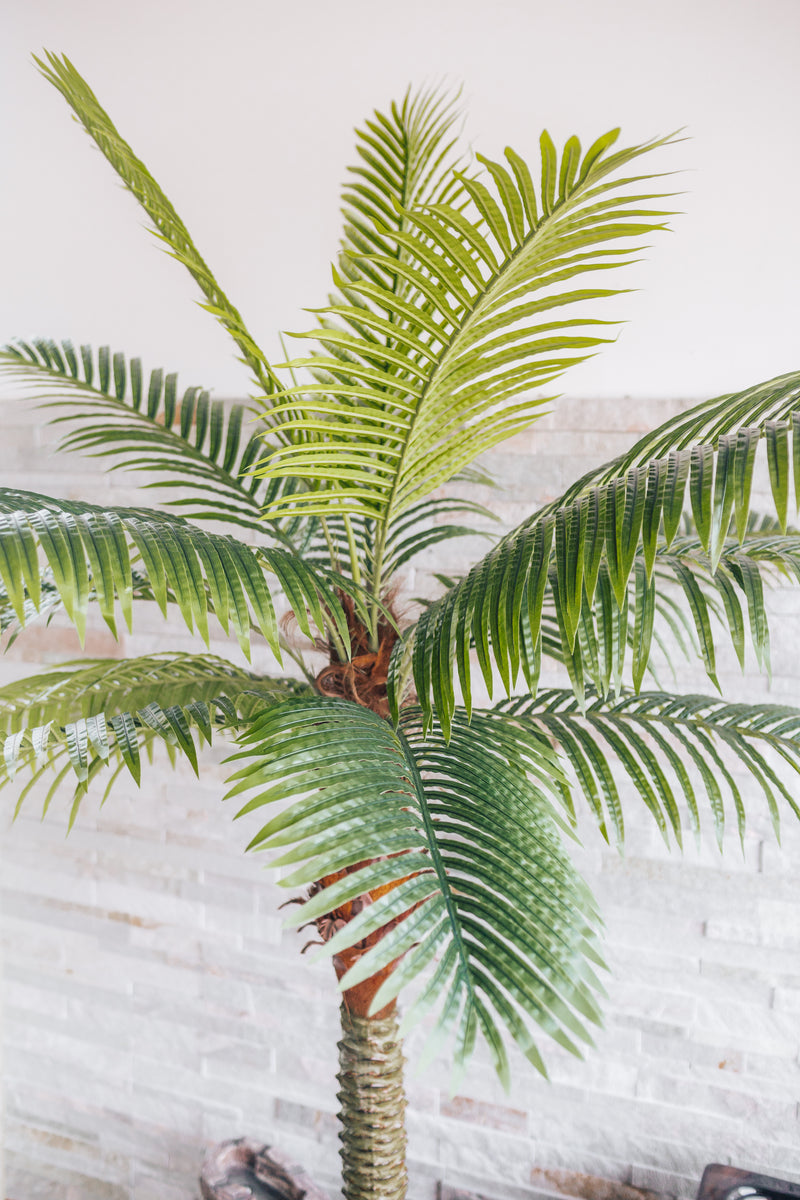 Plante artificielle Palmier dattier Phoenix canariensis 200 cm