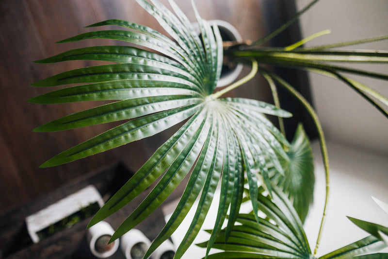 Planta artificial Palmito Chamaerops Humilis 220 cm