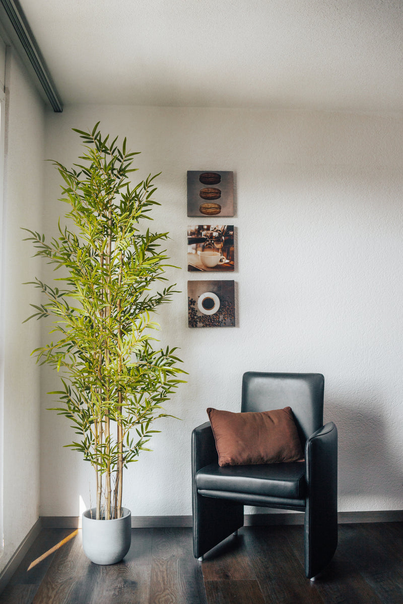 Plante artificielle Ficus benjamina 200 cm