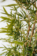 Plante artificielle Ficus benjamina 200 cm