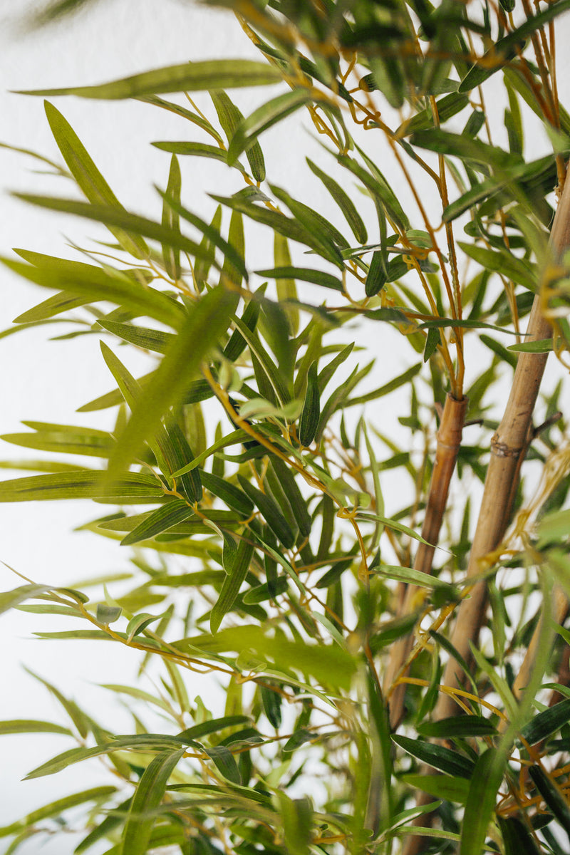 Plante artificielle Ficus benjamina 200 cm