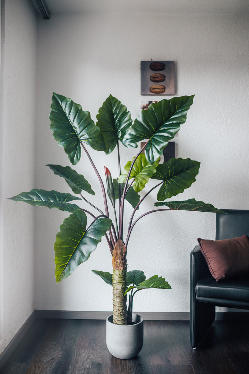 Planta artificial Alocasia 160 cm
